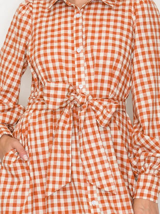 Gingham Daydream Maxi Dress