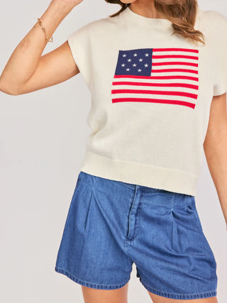 American Dream Flag Sweater Vest